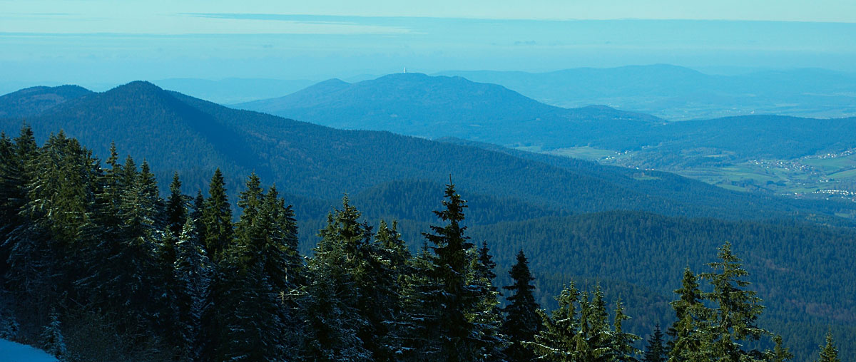 Blick über die Bayerwaldberge Freizeit und Ausflugstipps im Bayerischen Wald
