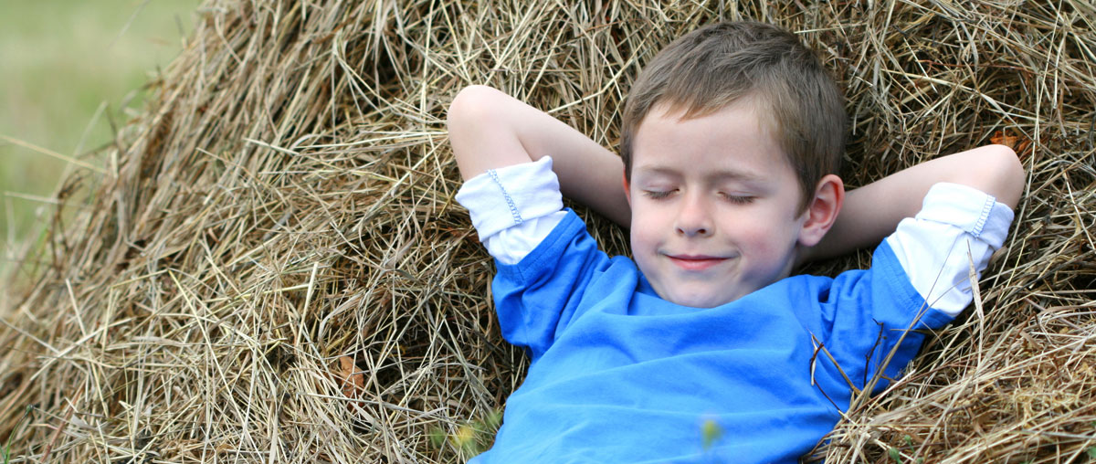 Bauernhofurlaub im Bayerischen Wald